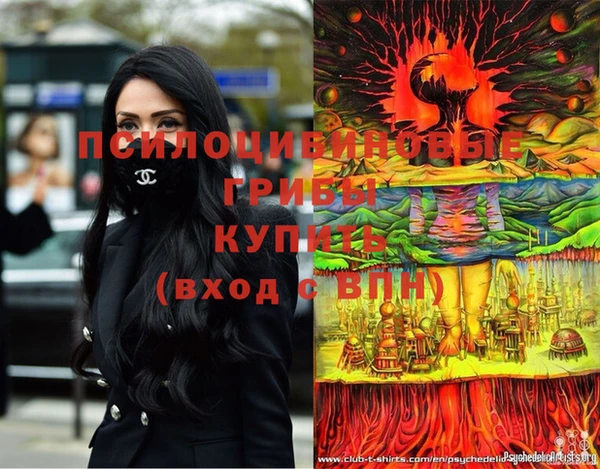 ешки Вяземский