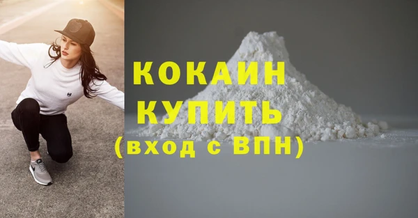 прущие грибы Новозыбков