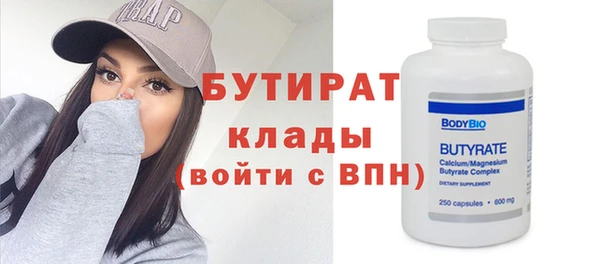 прущие грибы Новозыбков