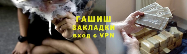 прущие грибы Новодвинск