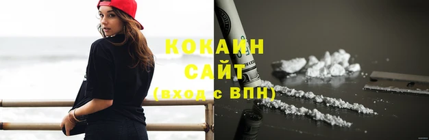 прущие грибы Новодвинск