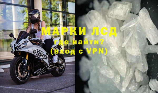 прущие грибы Новодвинск