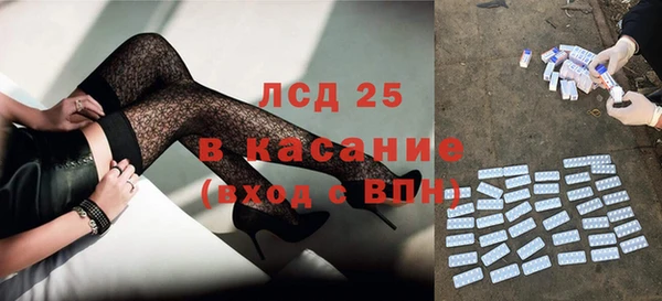 прущие грибы Новозыбков