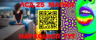 МДПВ Волгодонск