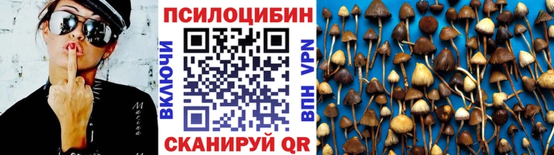 darknet формула  Анжеро-Судженск  Псилоцибиновые грибы Magic Shrooms  OMG  