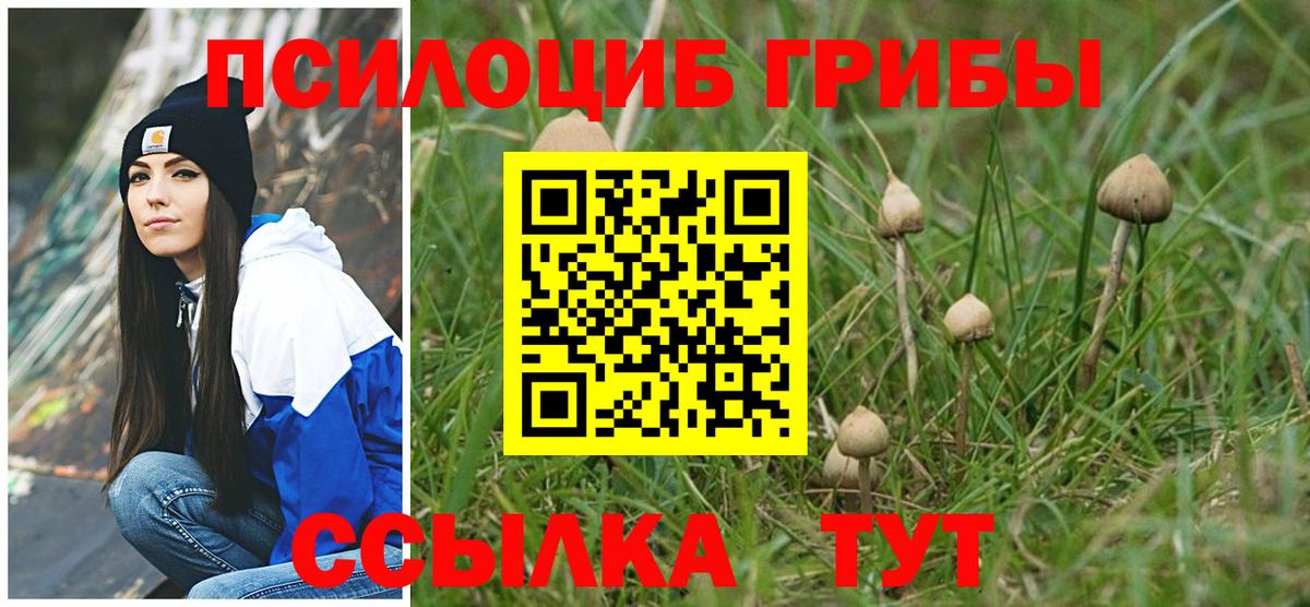 Псилоцибиновые грибы мицелий Анжеро-Судженск
