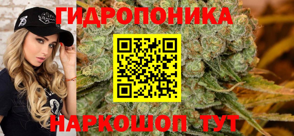 Каннабис OG Kush  Вход с VPN  Канабис THC 21%  Канабис Amnesia  Канабис MAZAR  Анжеро-Судженск 